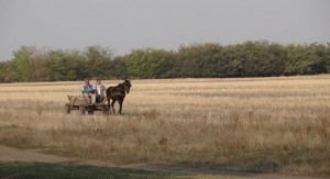 Familj på häst och vagn i Rumänien