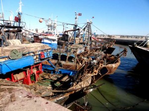 Fiskebåtar i Essaouira