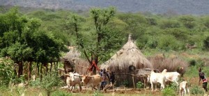 Etiopisk landsbygd